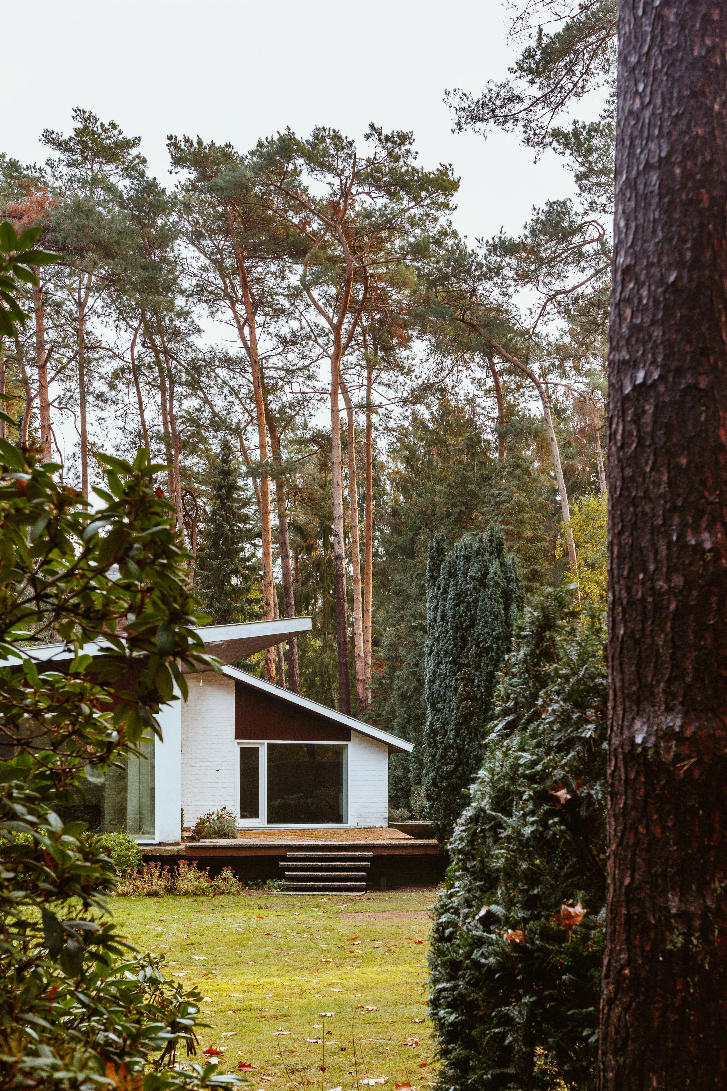 House in the woods