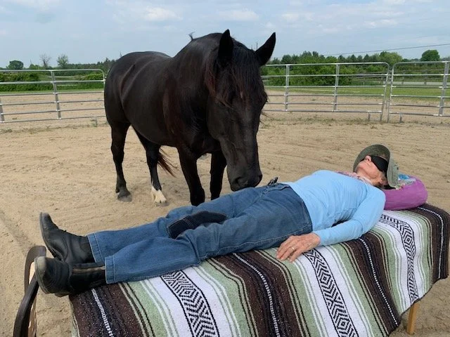 Reiki and Meditation Guided by Horses