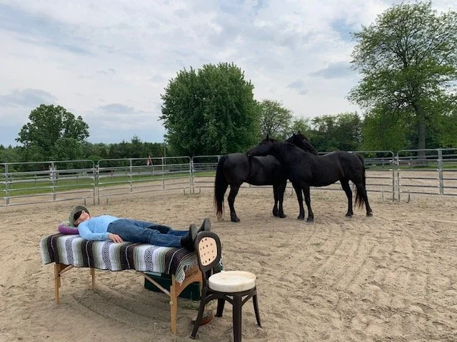 Reiki and Meditation Guided by Horses