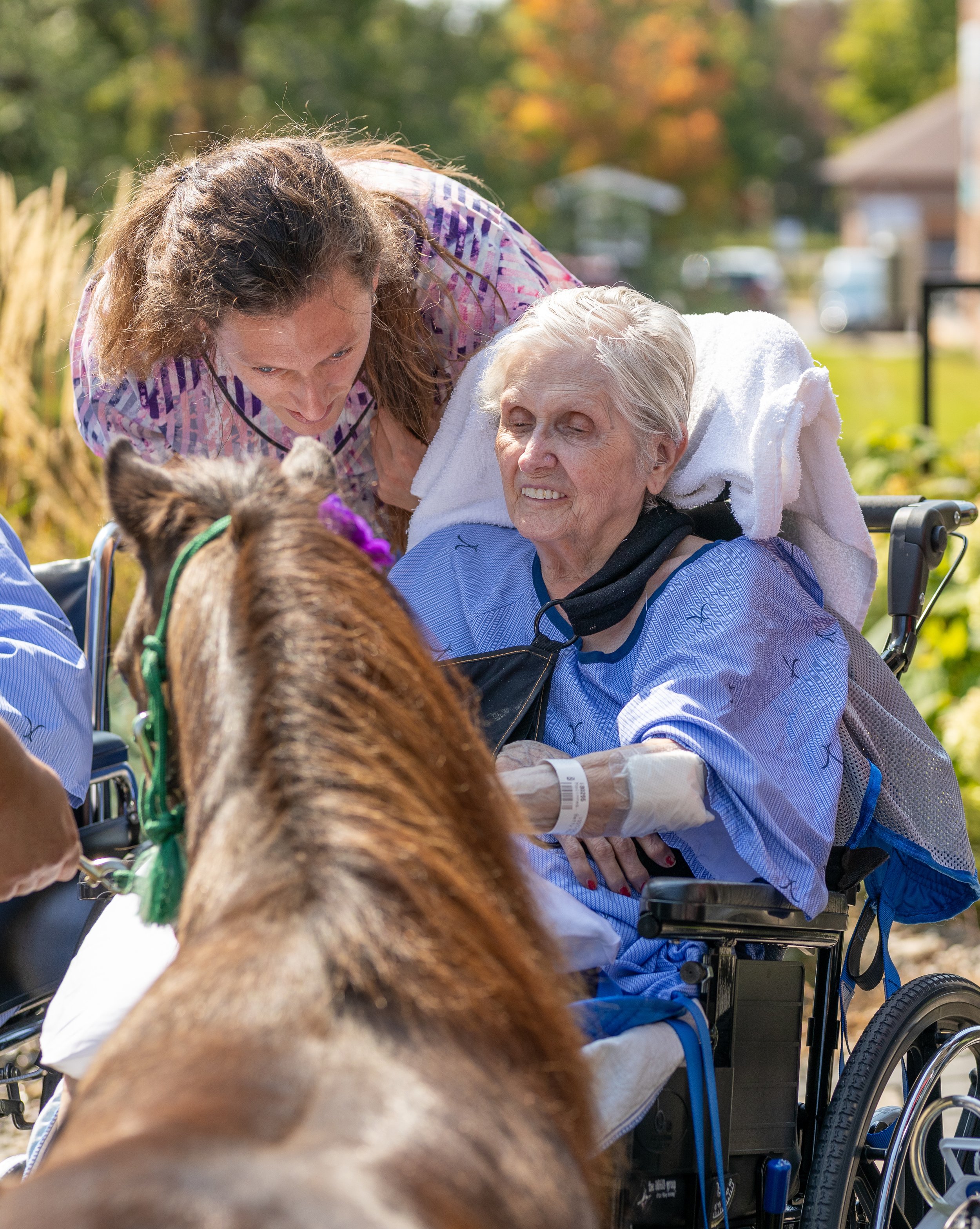 An elderly woman in a wheelchair and a young woman are interacting with a horse outdoors in a park or garden setting.