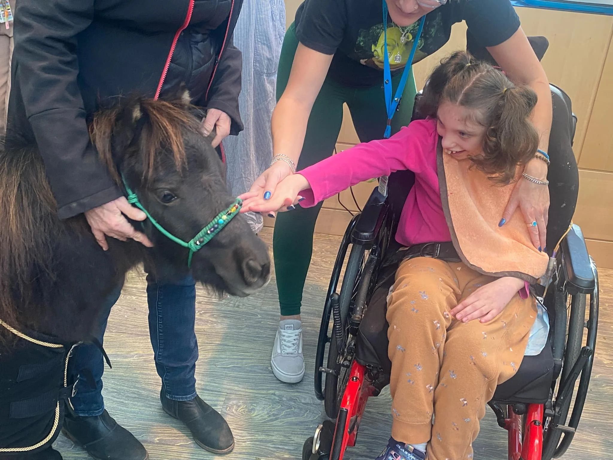 A young girl in a pink jacket in a wheelchair reaching out to touch the nose of a small horse being gently held by a person. An adult standing nearby watches the interaction.