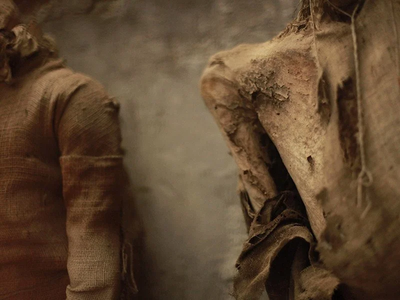 IMAGE 2022-05-22 22:48:03.jpg