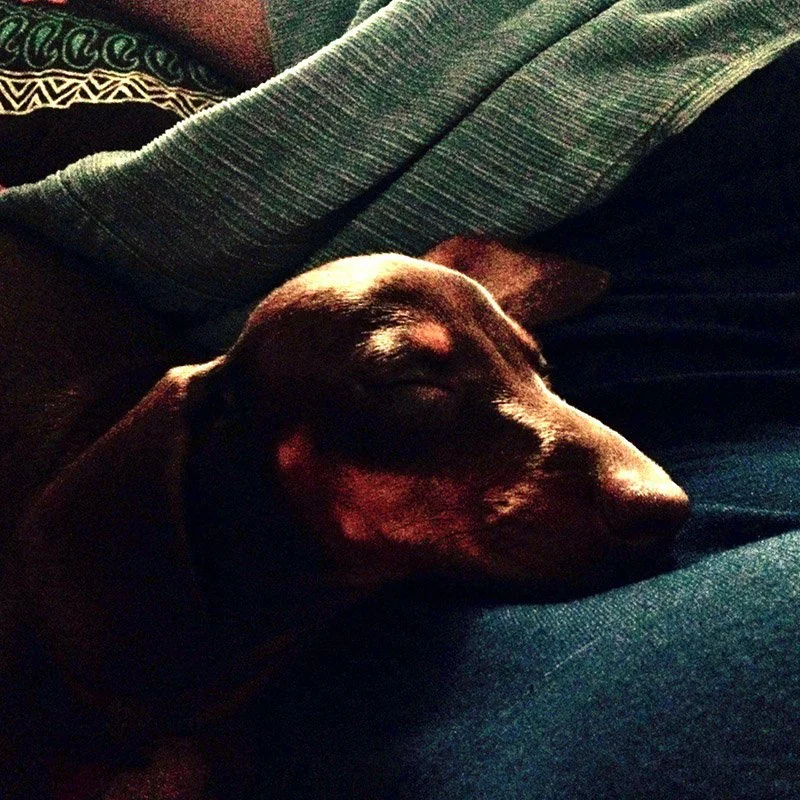 IMAGE 2022-05-23 19:21:44.jpg