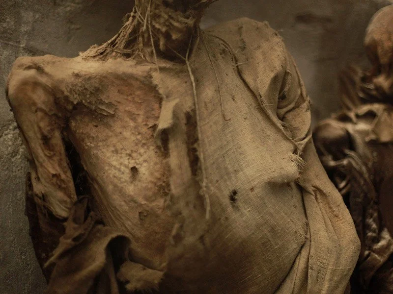 IMAGE 2022-05-22 22:48:13.jpg