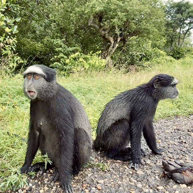 IMAGE 2022-05-21 15:39:40.jpg