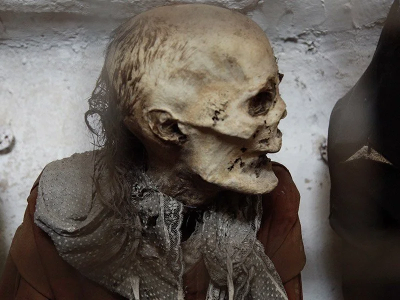 IMAGE 2022-05-22 22:48:23.jpg