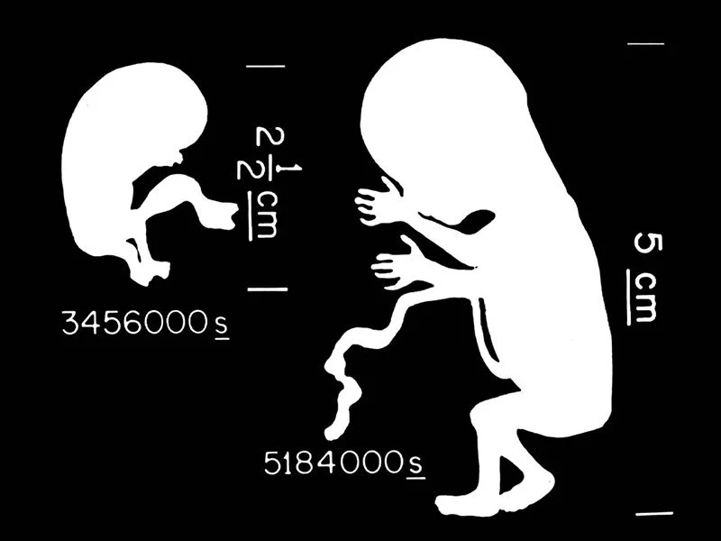 IMAGE 2022-05-22 22:56:35.jpg