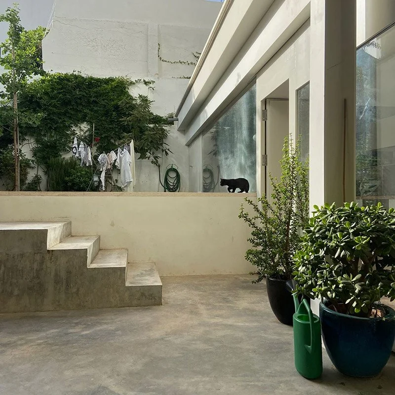 IMAGE 2022-07-04 20:46:36.jpg