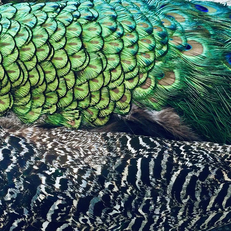 IMAGE 2022-05-21 15:40:04.jpg