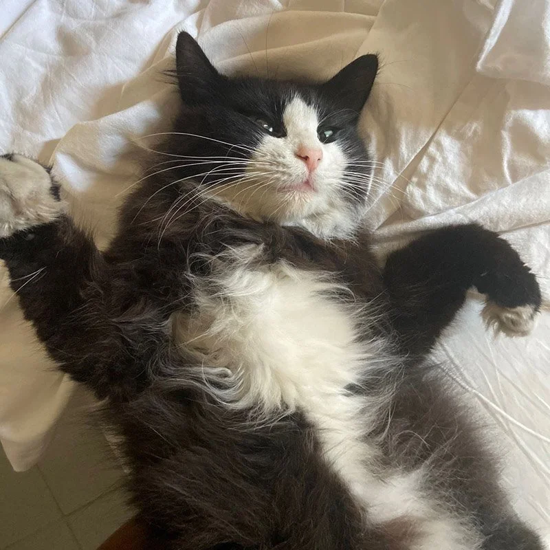 IMAGE 2022-06-10 00:56:34.jpg