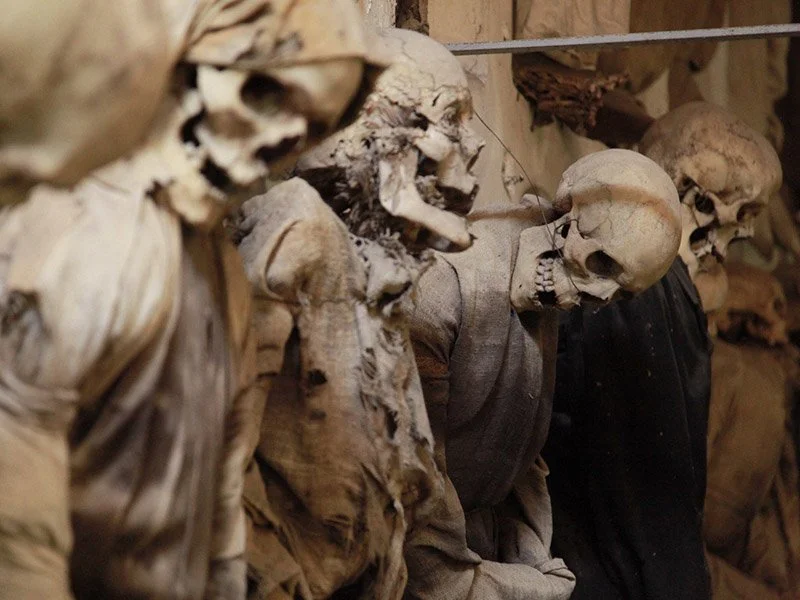 IMAGE 2022-05-22 22:48:38.jpg