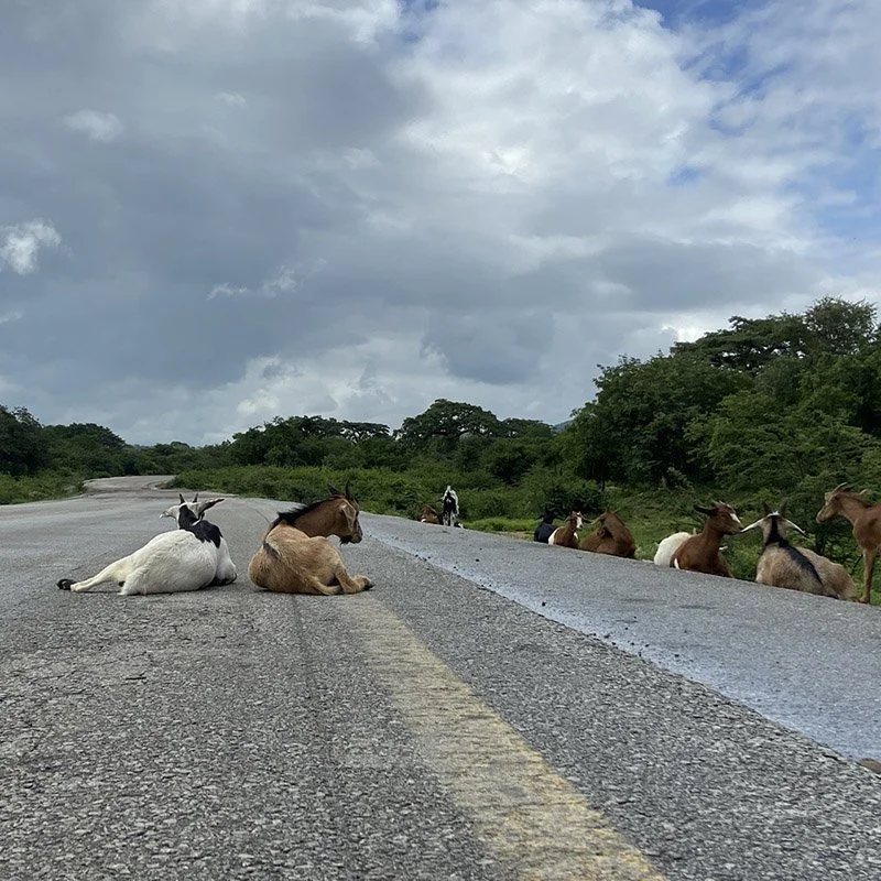 IMAGE 2022-05-21 15:39:47.jpg