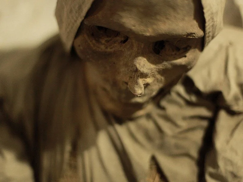 IMAGE 2022-05-22 22:48:27.jpg