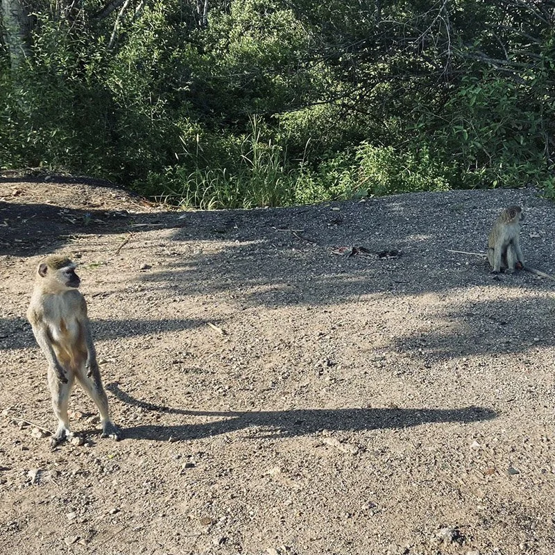 IMAGE 2022-05-21 15:39:49.jpg