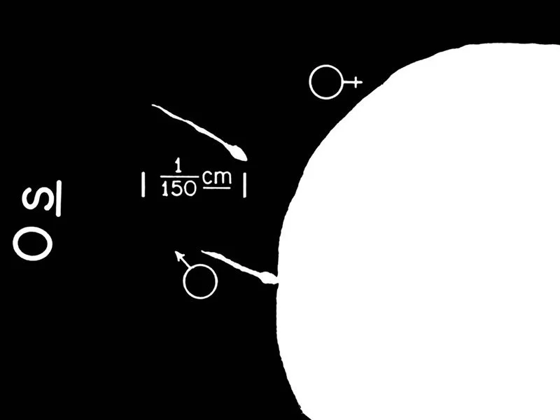 IMAGE 2022-05-22 22:56:31.jpg