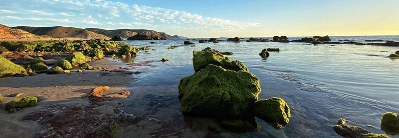 IMAGE 2022-05-21 20:34:32.jpg