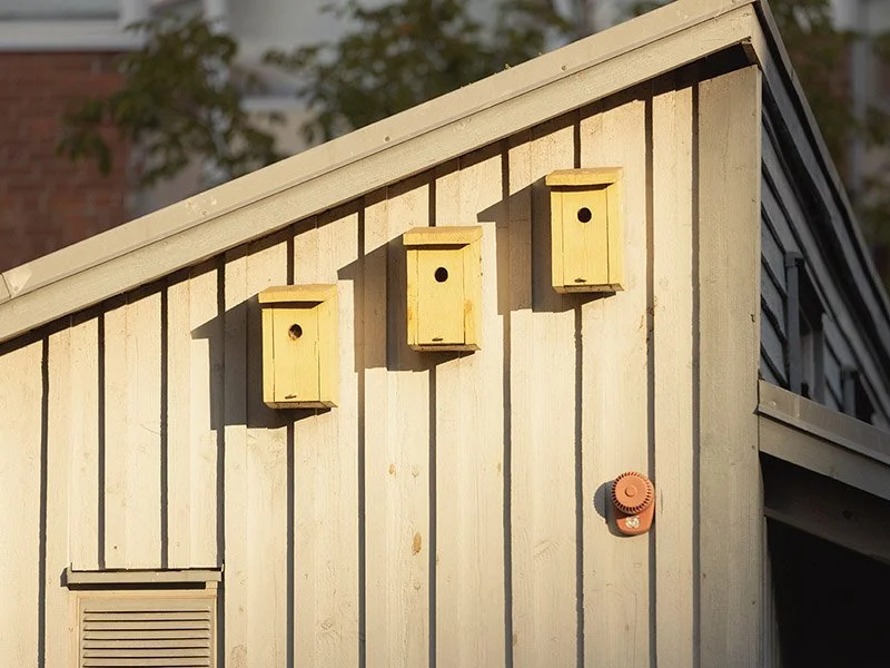 AUGUSTENBORG DIA 948.jpeg