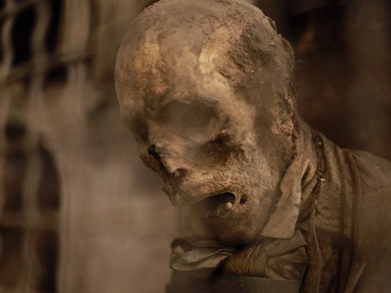 IMAGE 2022-05-22 22:48:15.jpg