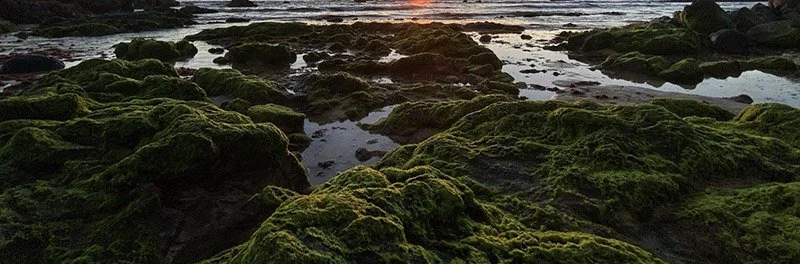 IMAGE 2022-05-21 20:34:38.jpg