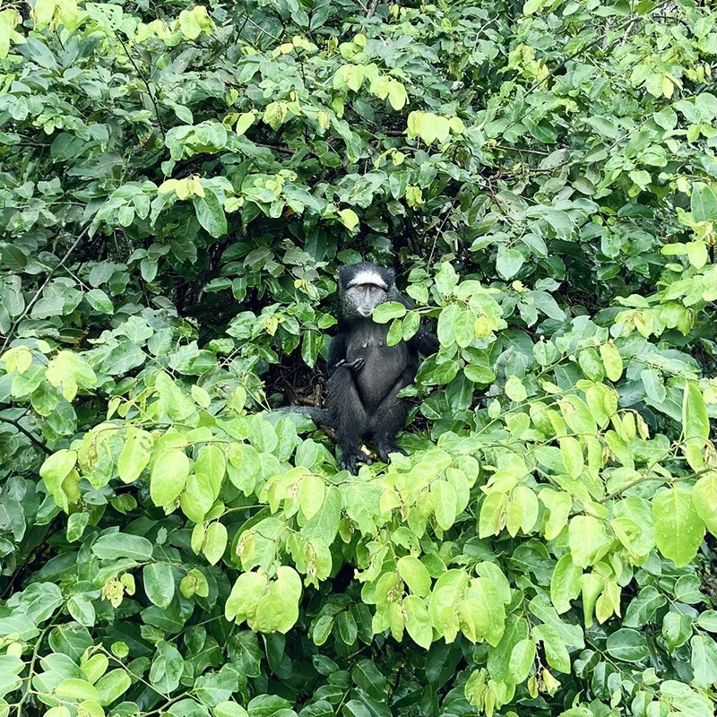 IMAGE 2022-05-21 15:39:41.jpg