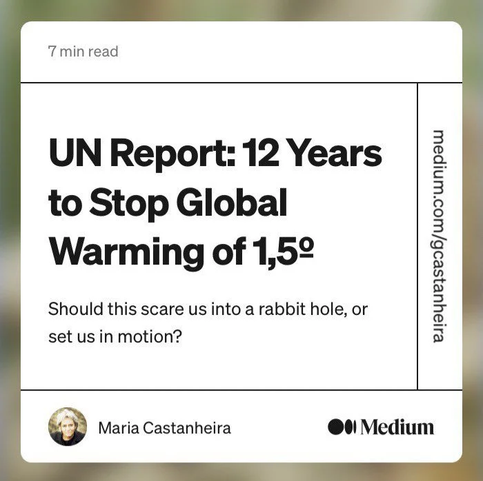 IMAGE 2022-06-02 16:06:43.jpg