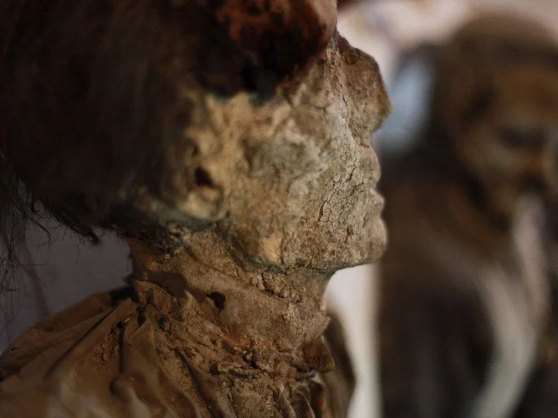 IMAGE 2022-05-22 22:48:12.jpg