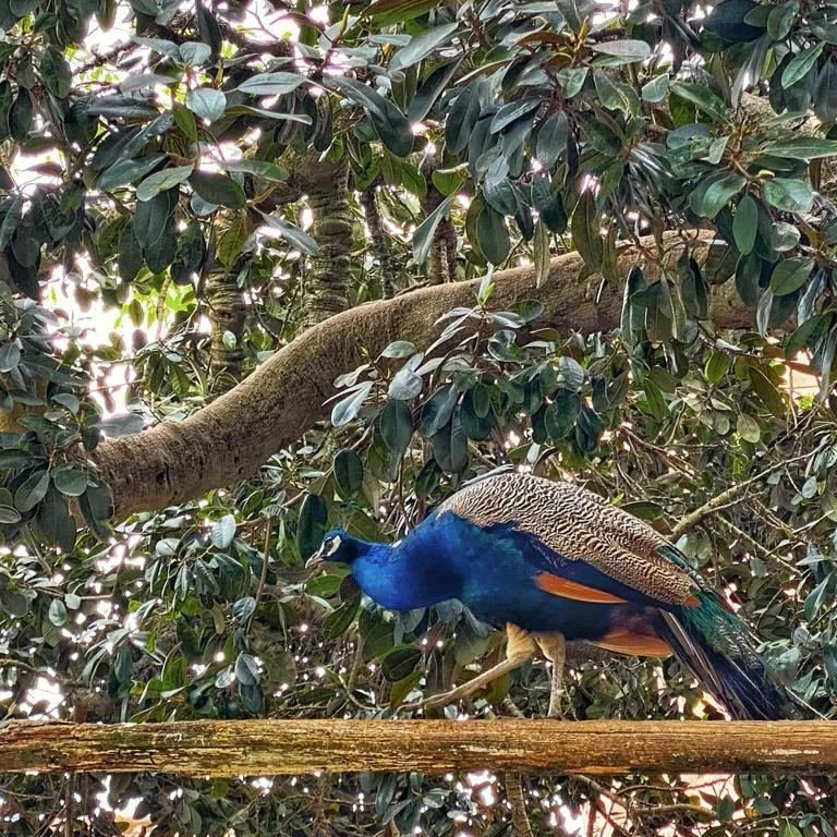 IMAGE 2022-05-23 19:35:42.jpg