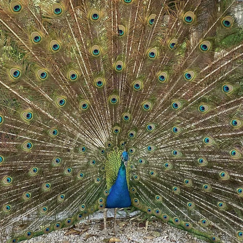 IMAGE 2022-05-23 19:02:37.jpg