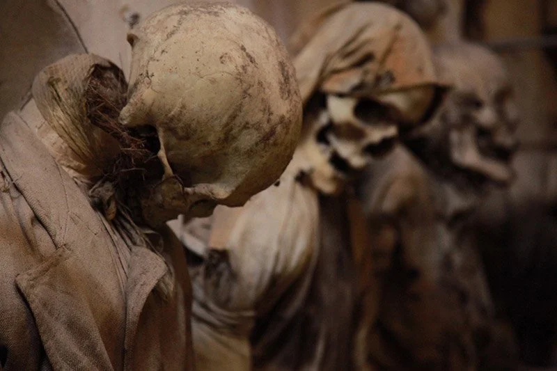 IMAGE 2022-05-22 22:48:19.jpg