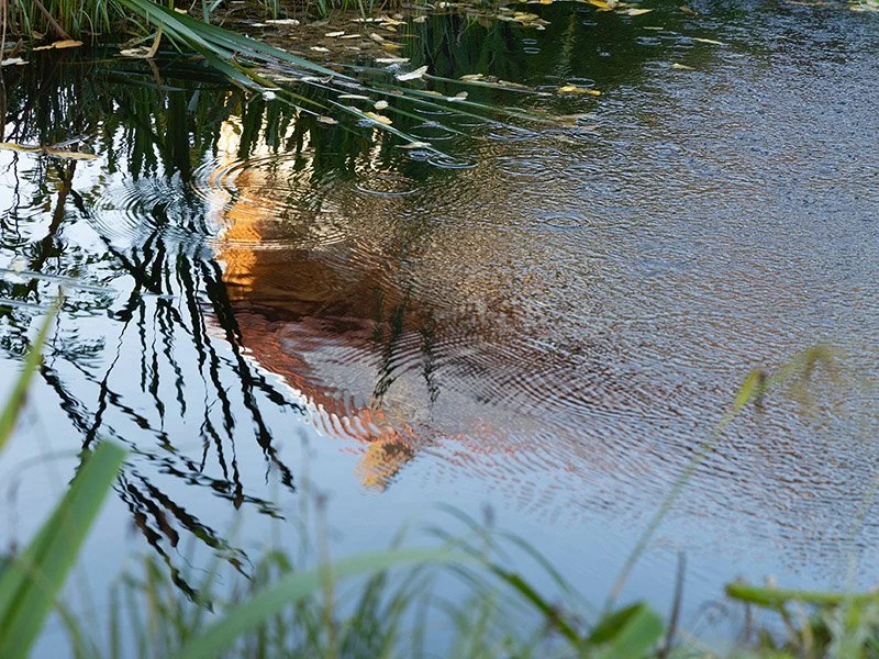 AUGUSTENBORG DIA 927.jpeg