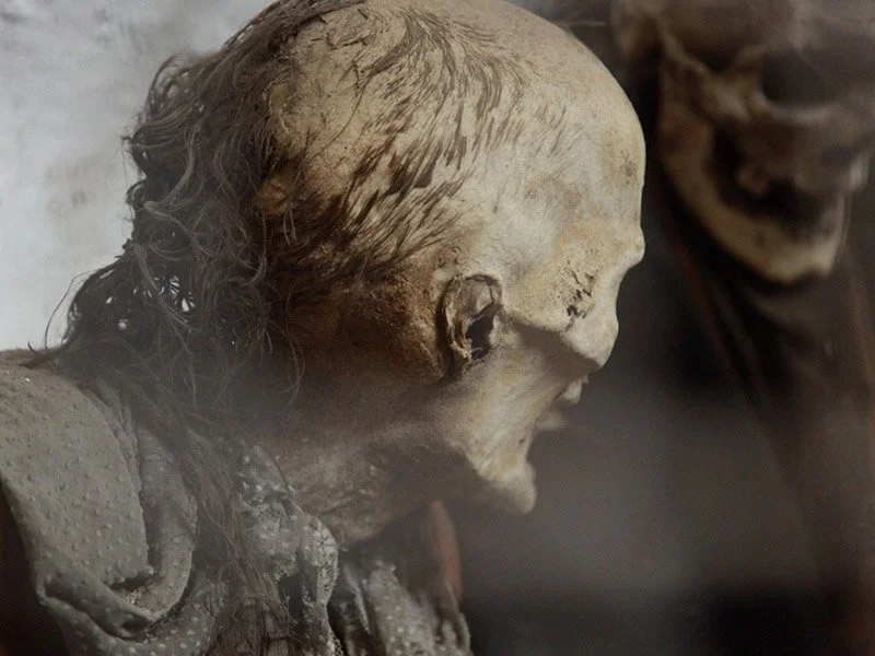 IMAGE 2022-05-22 22:48:30.jpg