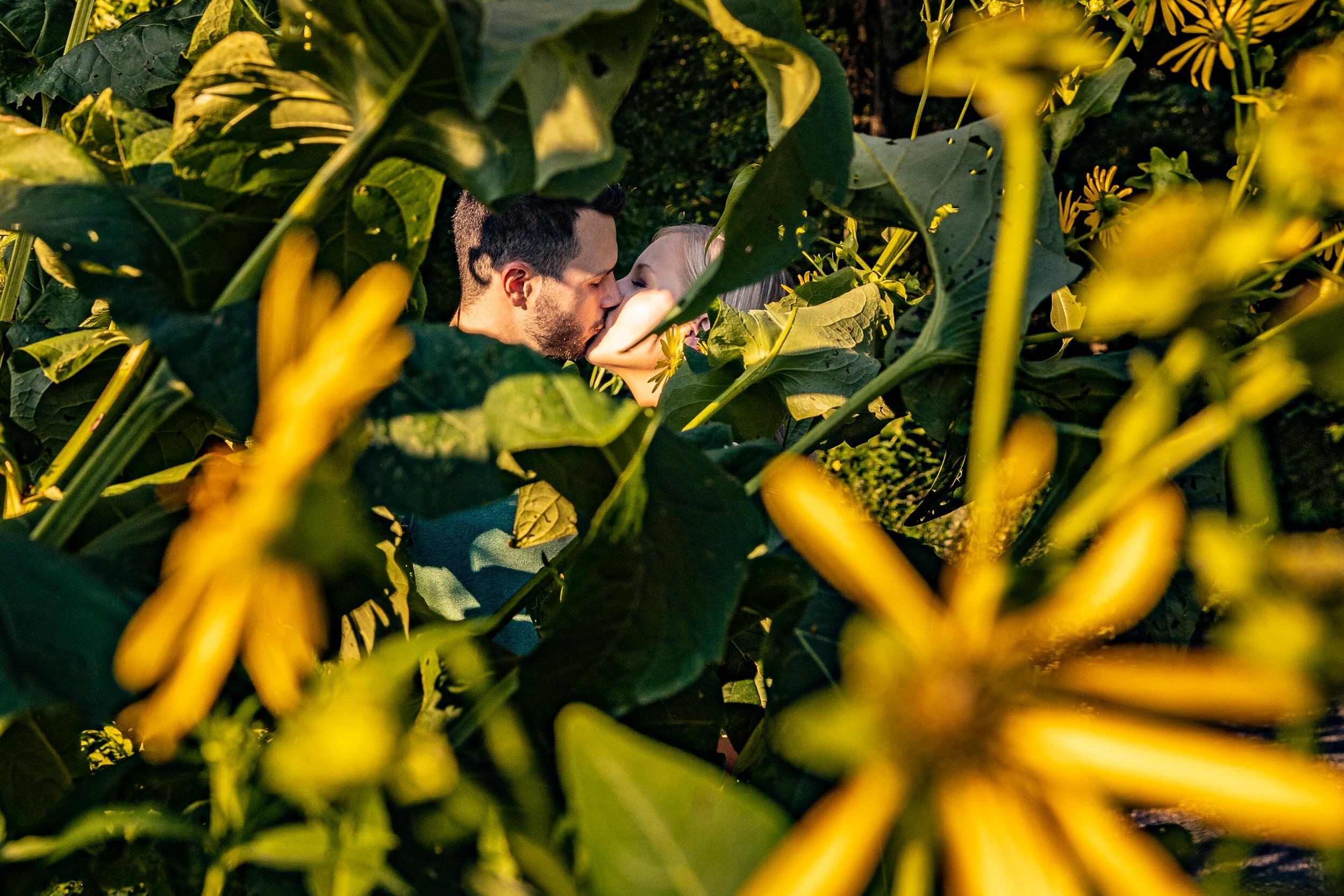 green spring gardens engagement photography annadale virginia engagement session_02.jpg