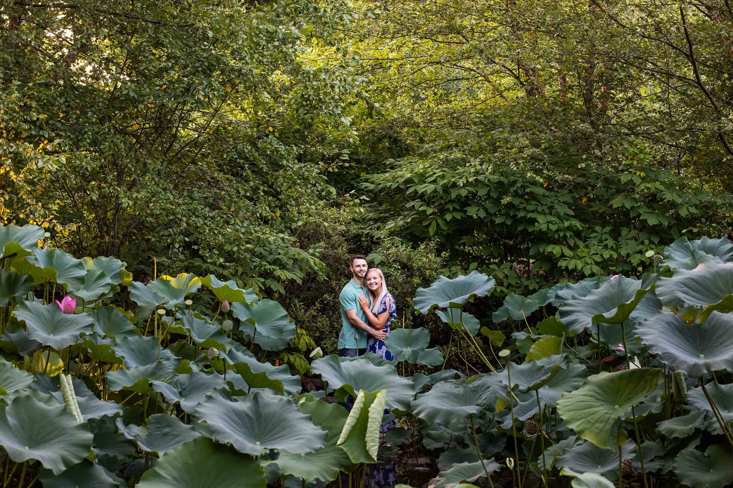 green spring gardens engagement photography annadale virginia engagement session_06.jpg