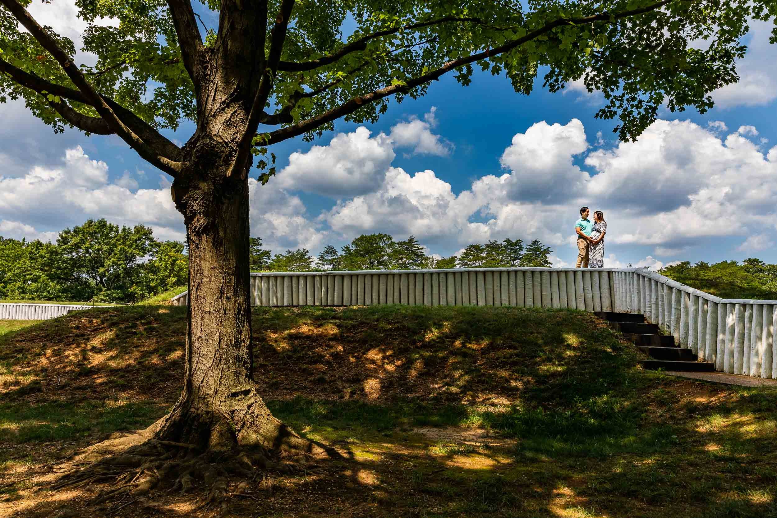 Alexandria VA Maternity Photos Nancy Han Tara Parekh Photography -6.jpg