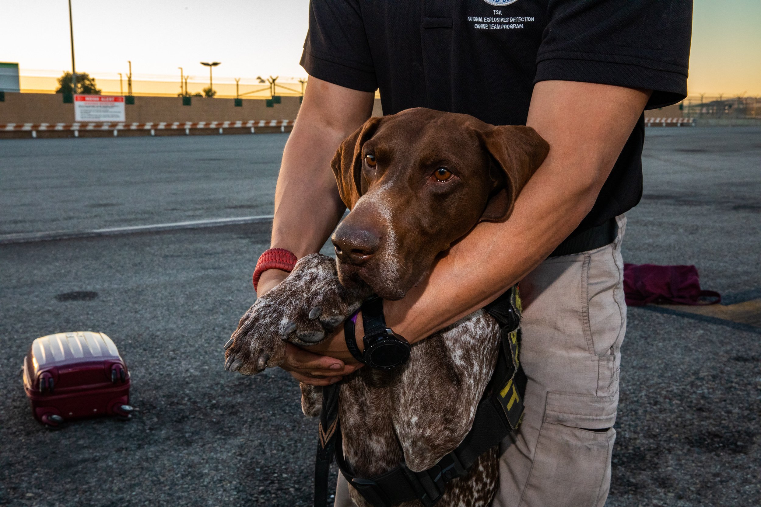 Tara Parekh TSA Canine LAX Photographs-02.jpg