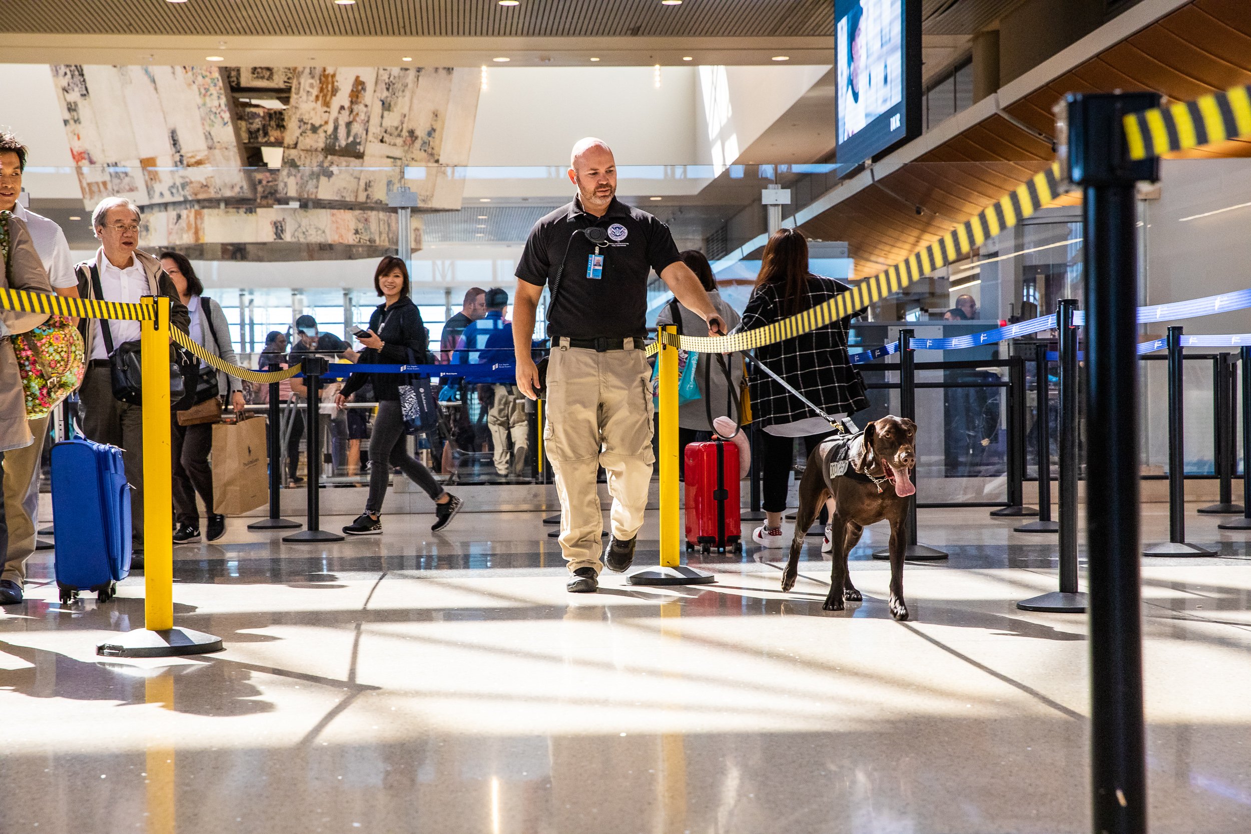 Tara Parekh TSA Canine LAX Photographs-04.jpg