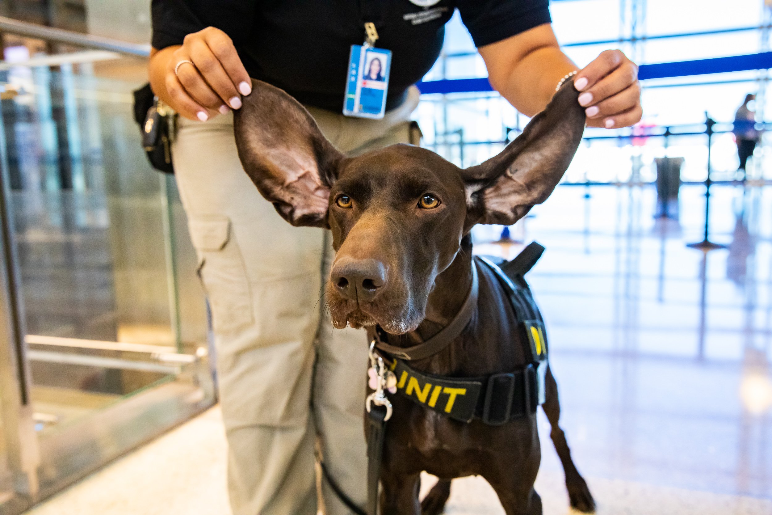 Tara Parekh TSA Canine LAX Photographs-11.jpg