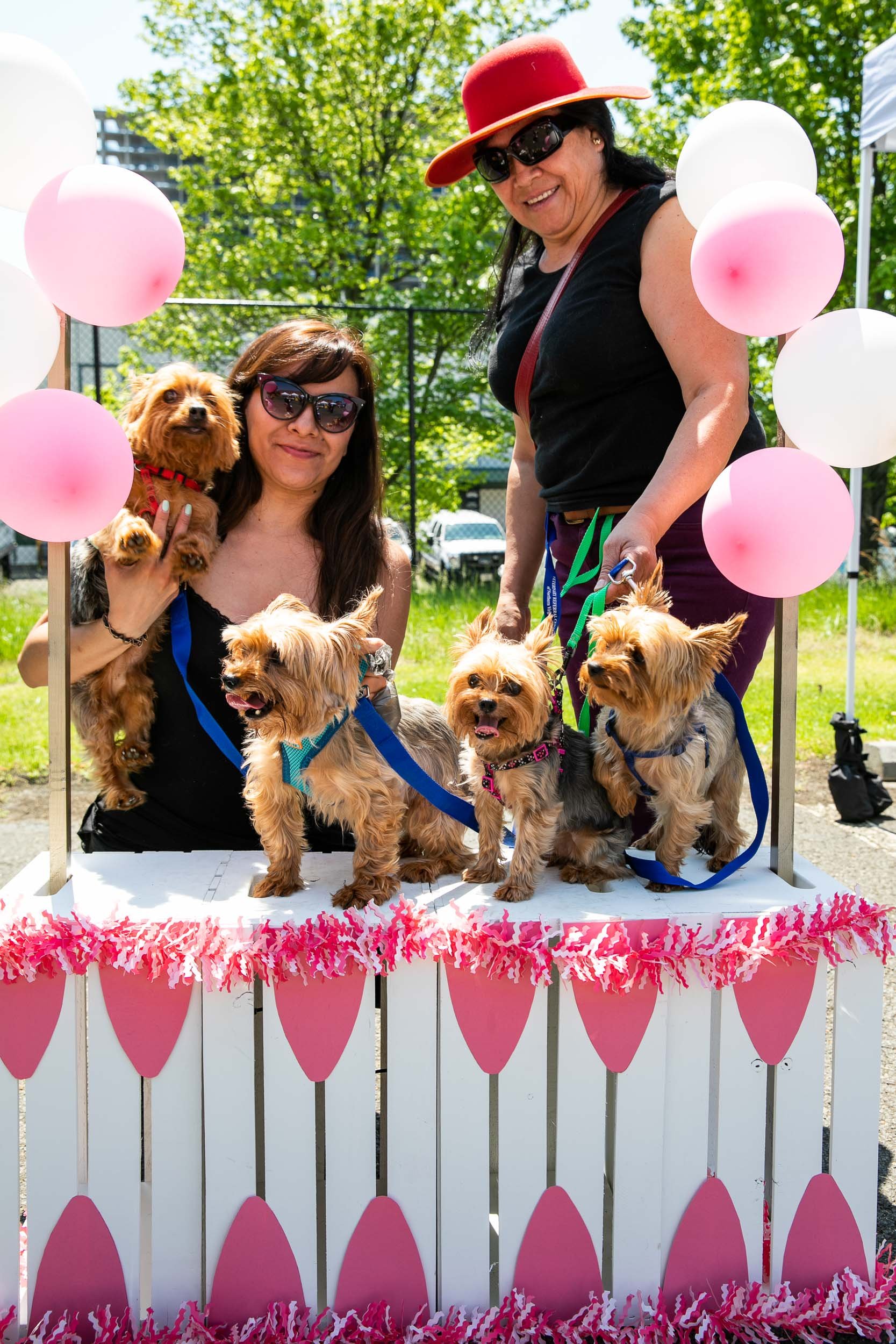 Tara Parekh Photography Alexandria Love Your Pet Day 2019 -04.jpg