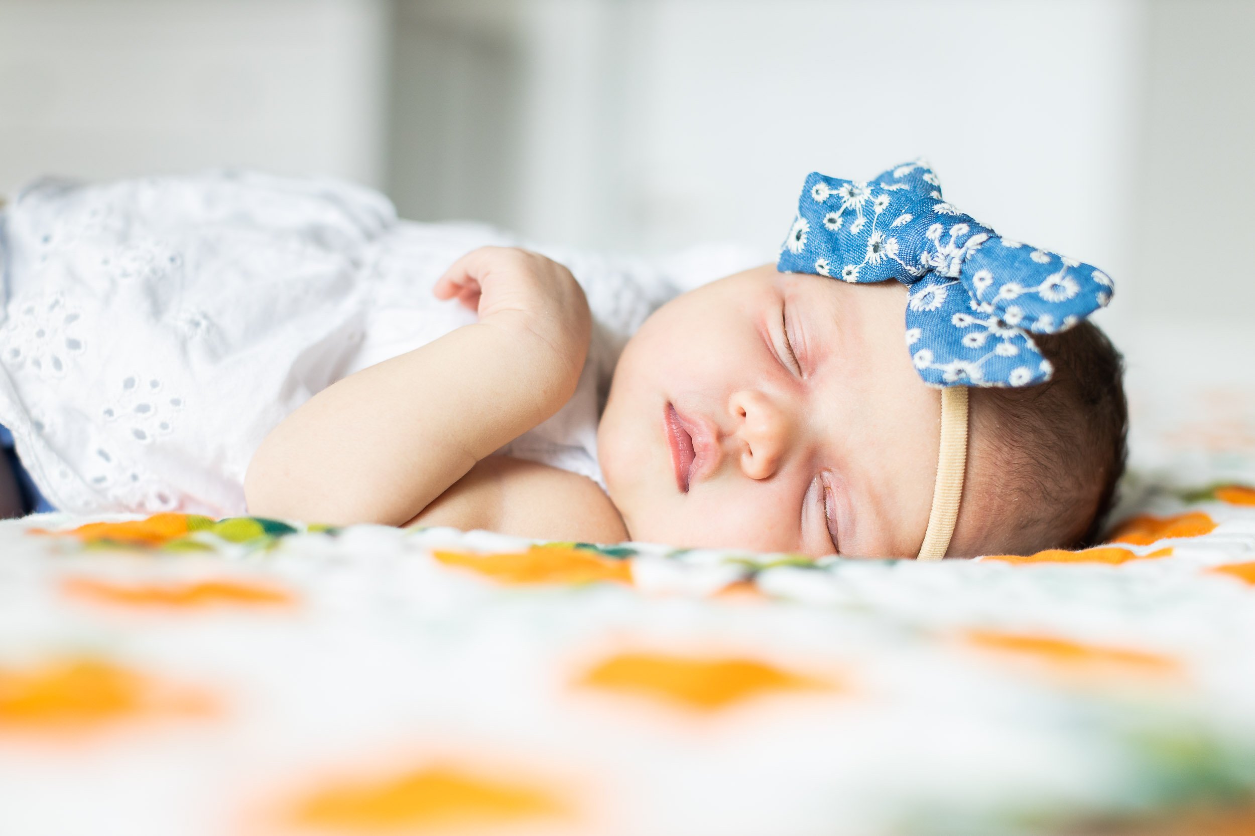 washington-dc-newborn-photography-baby-girl-bows-12.jpg