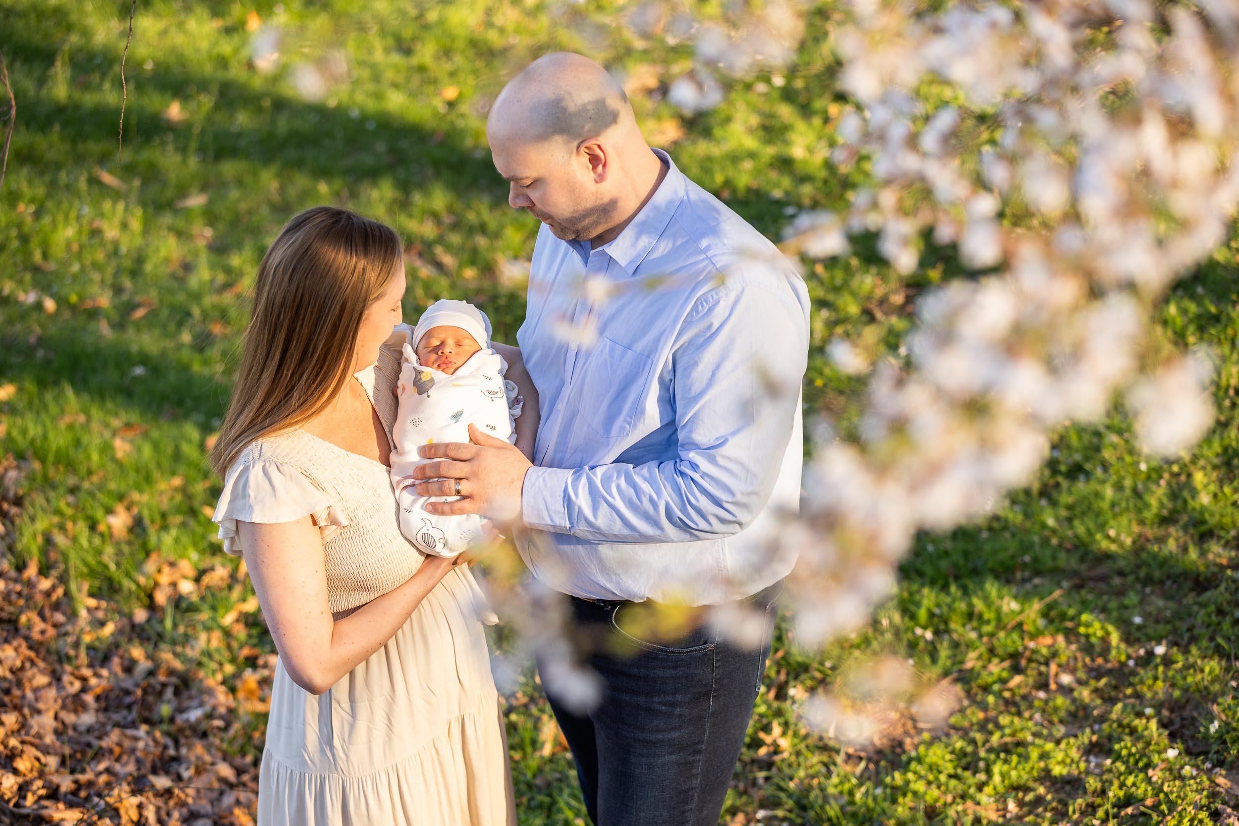 alexandria-va-cherry-blossoms-baby-first-cherry-blossoms-dc-15.jpg