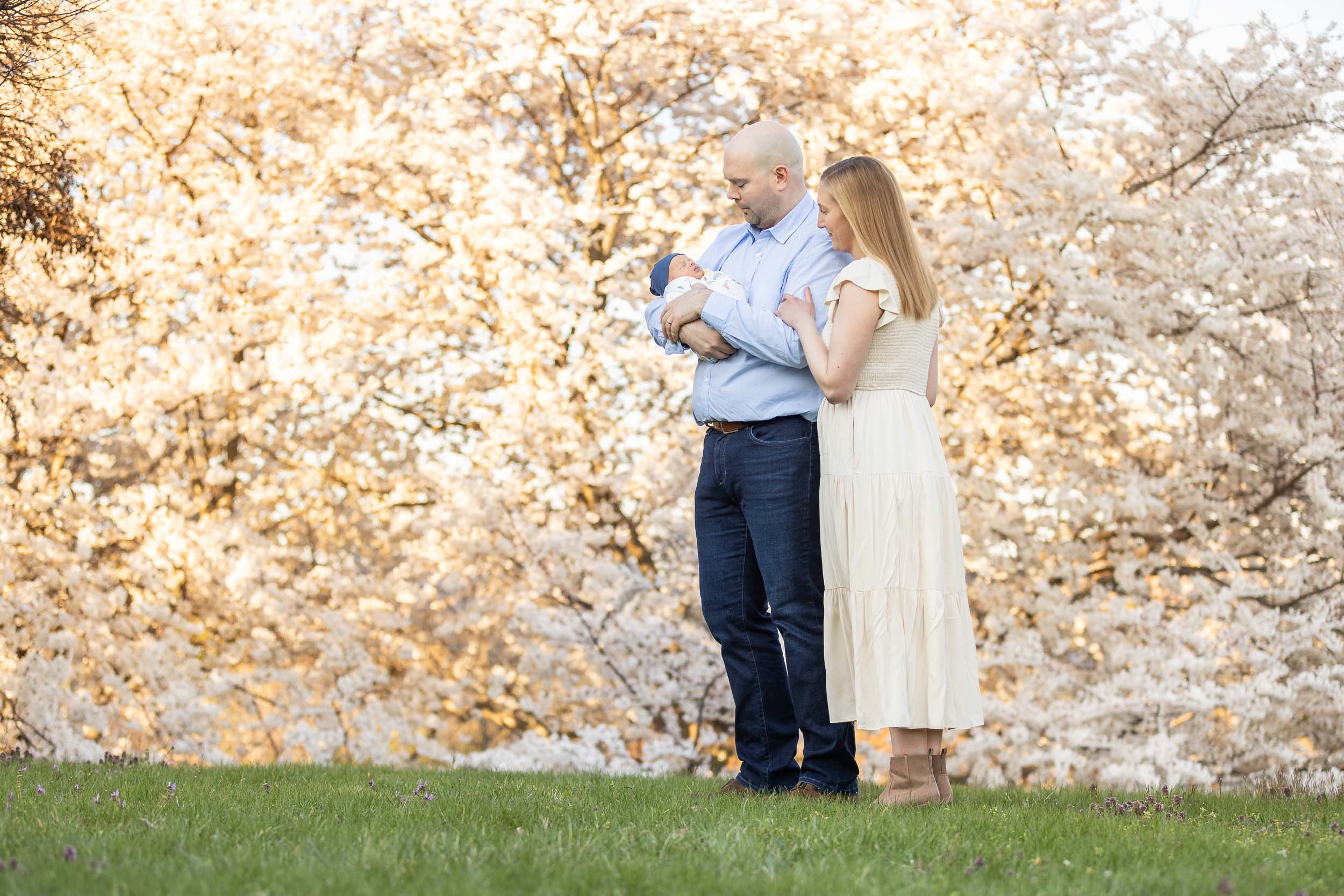 alexandria-va-cherry-blossoms-baby-first-cherry-blossoms-dc-16.jpg