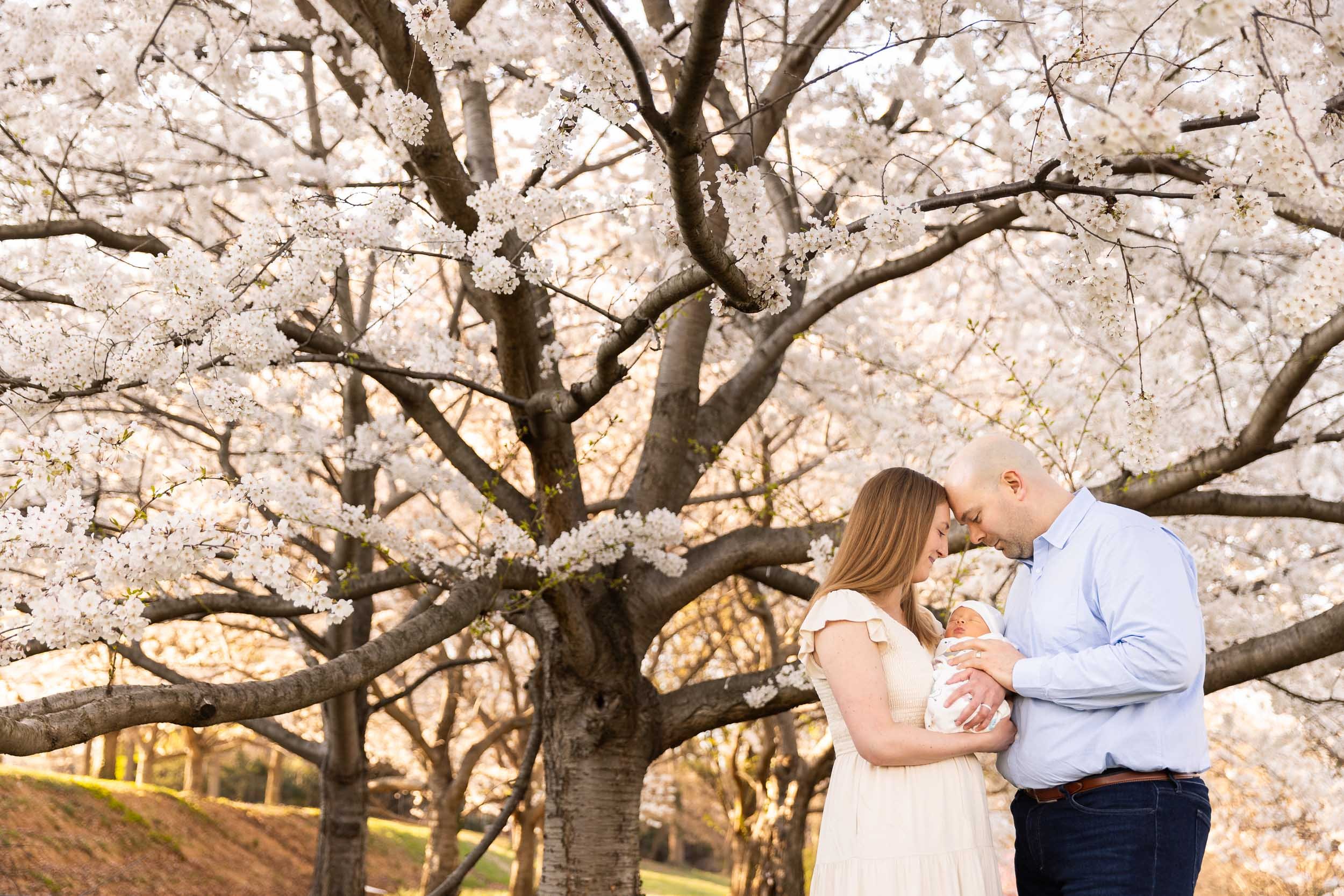 alexandria-va-cherry-blossoms-baby-first-cherry-blossoms-dc-17.jpg