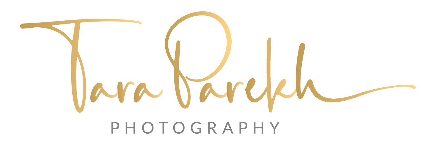 Tara Parekh Photography | Washington, D.C. Area Photographer based in Alexandria, VA