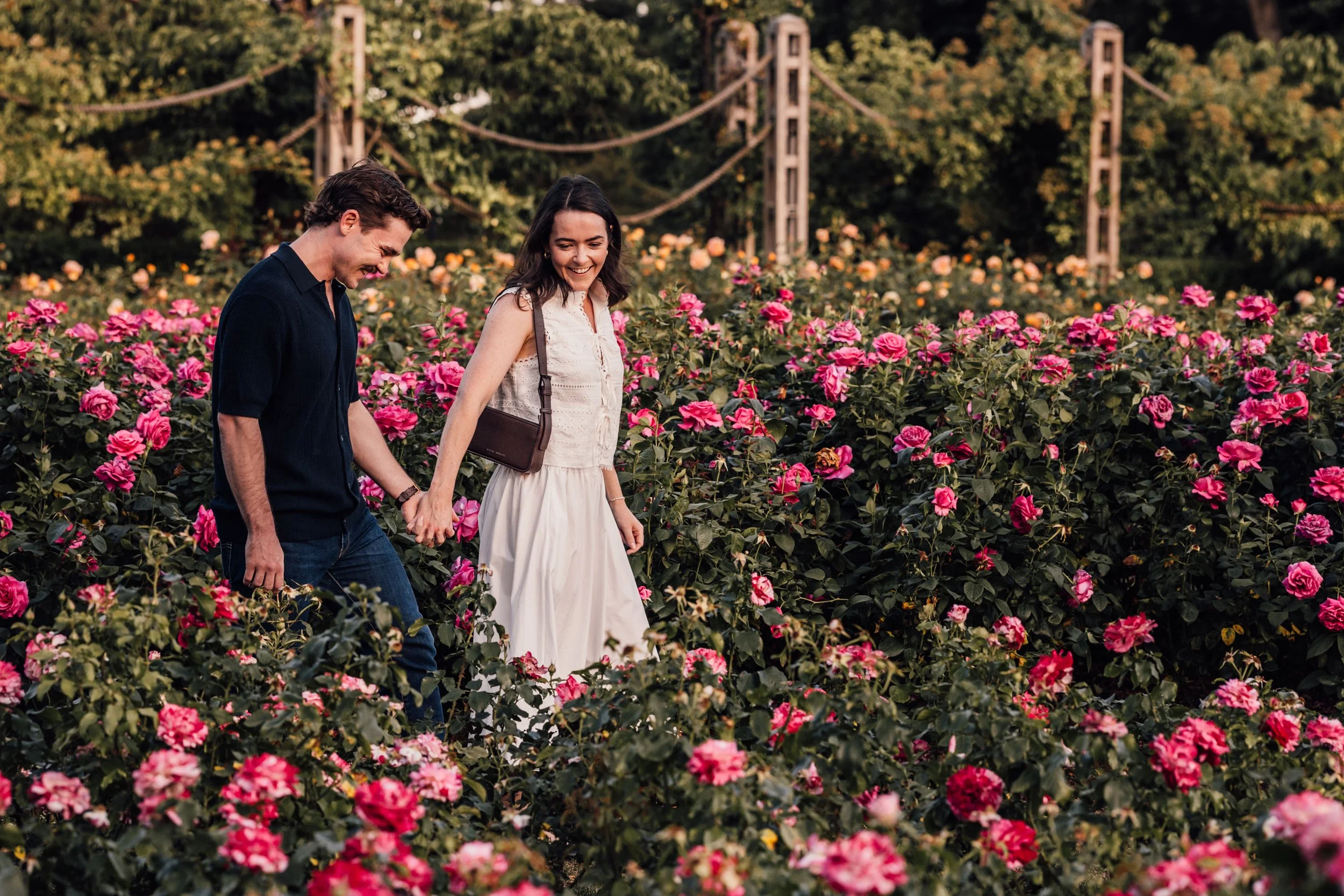 A young couple walks hand-in-hand through a blooming rose garden, smiling and enjoying the scenery during sunset.