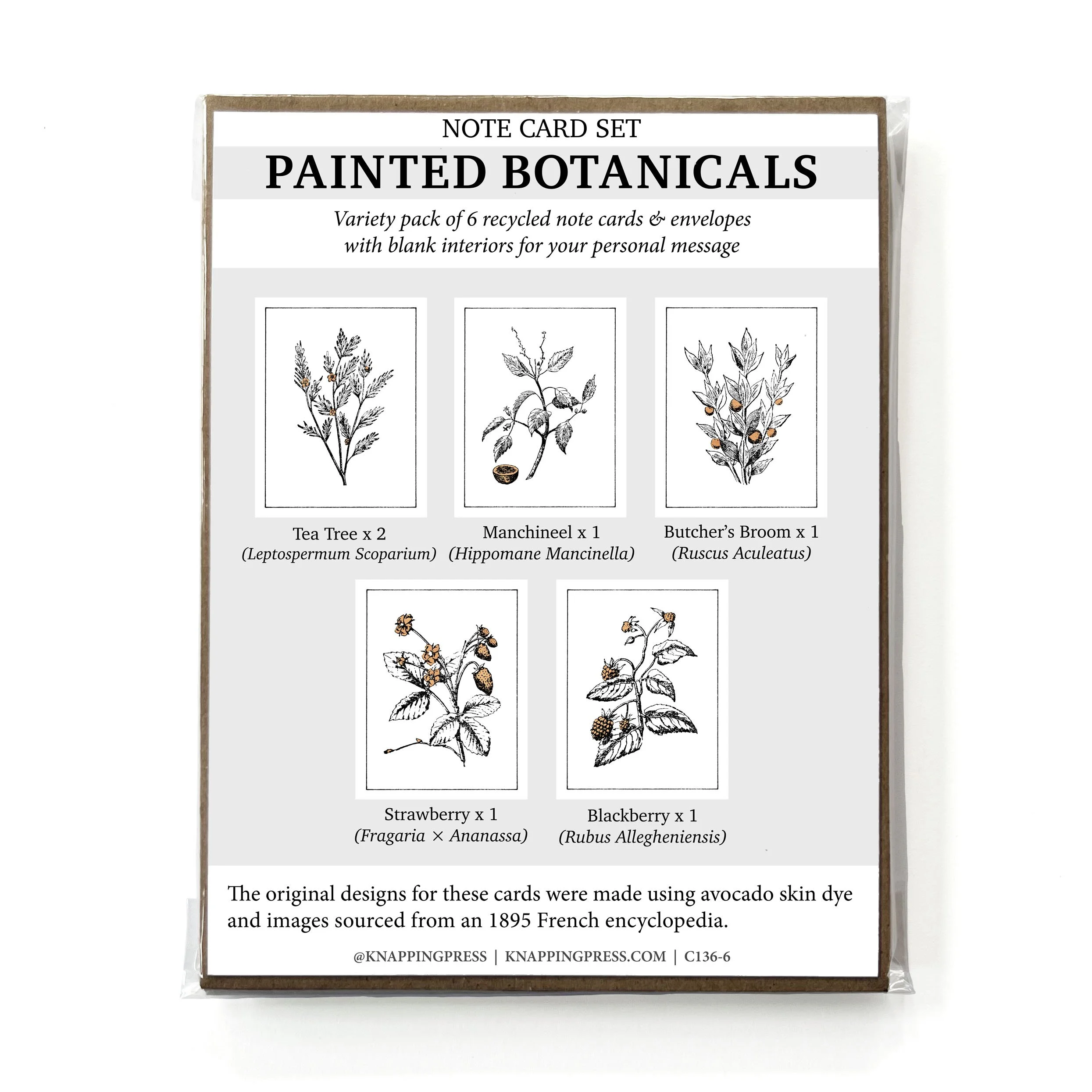 Set of 6 - Painted Botanicals Card Collection