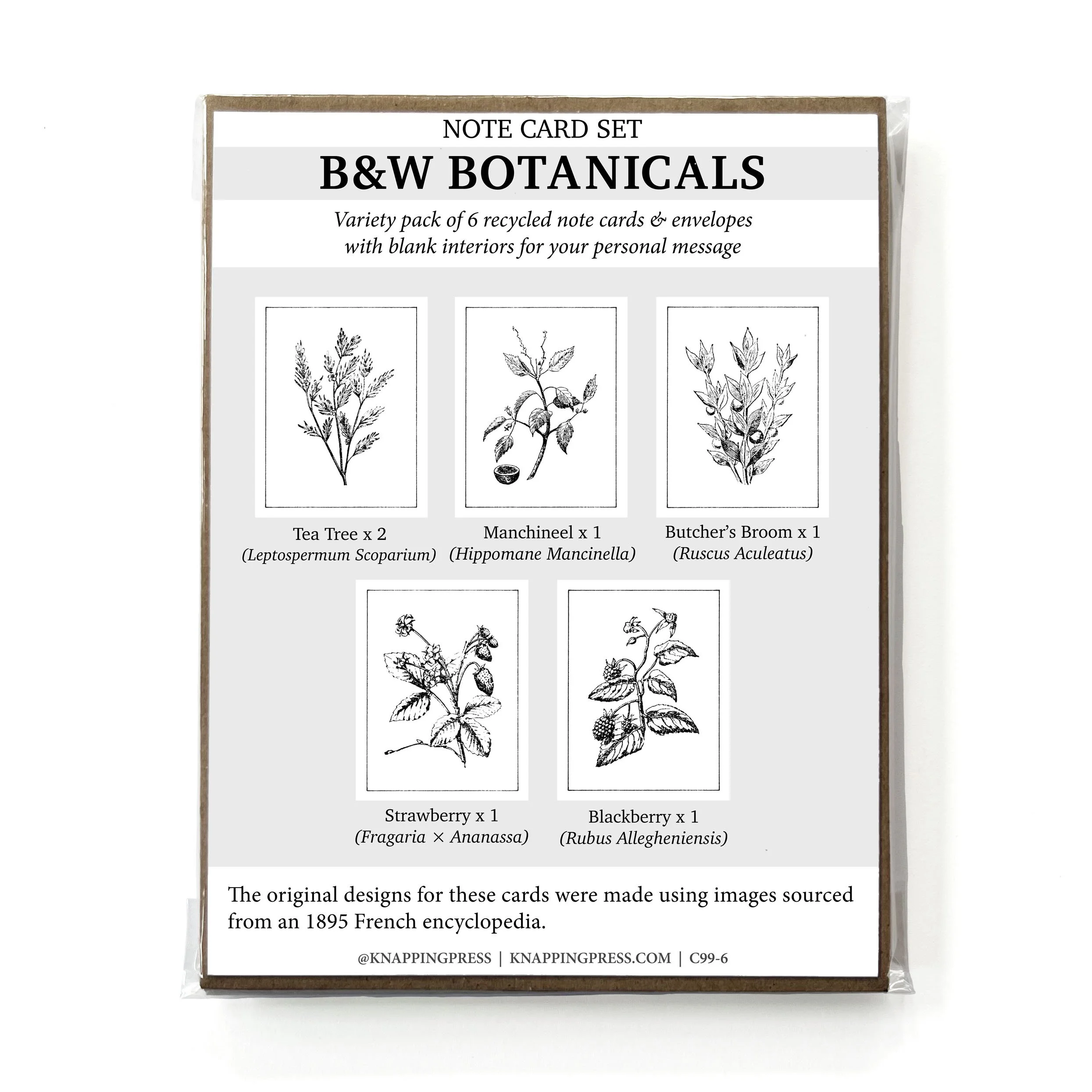 Set of 6 - B&W Botanical Card Collection