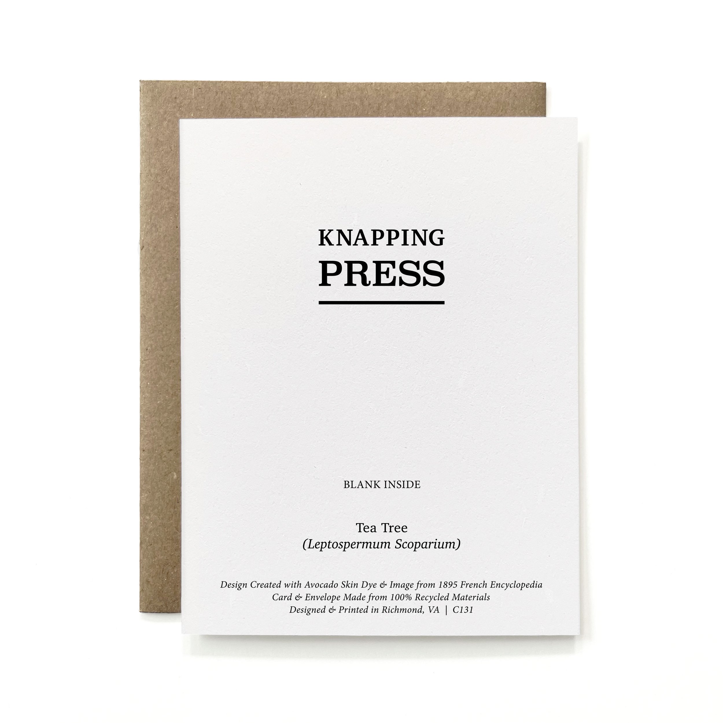 C131.R_Painted Botanical - Tea Tree.jpg