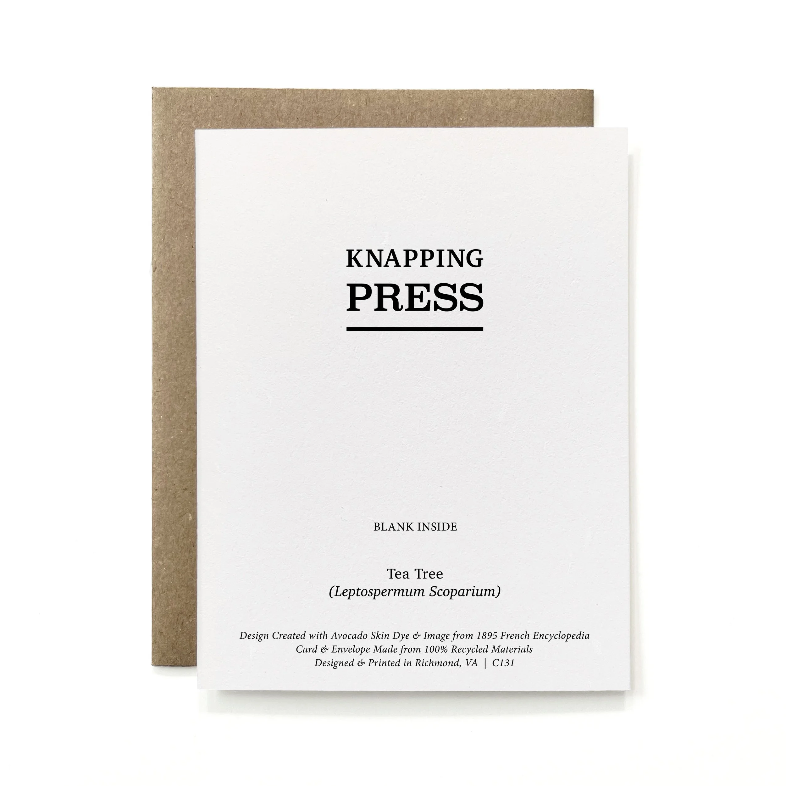 C131.R_Painted Botanical - Tea Tree.jpg