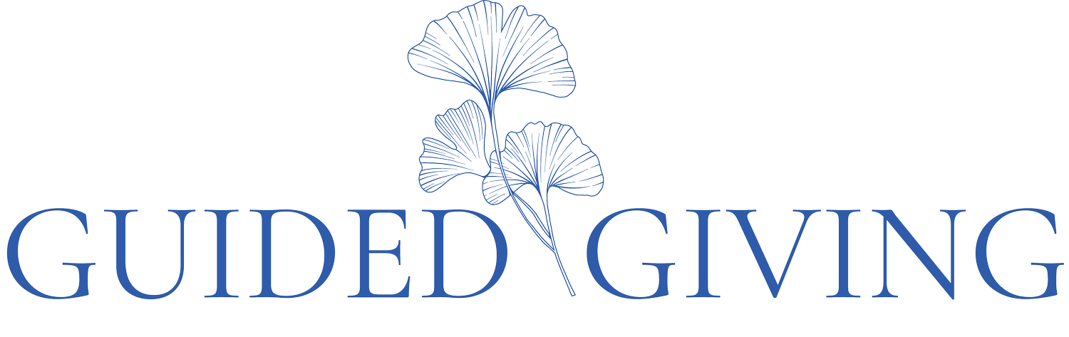 Guided Giving