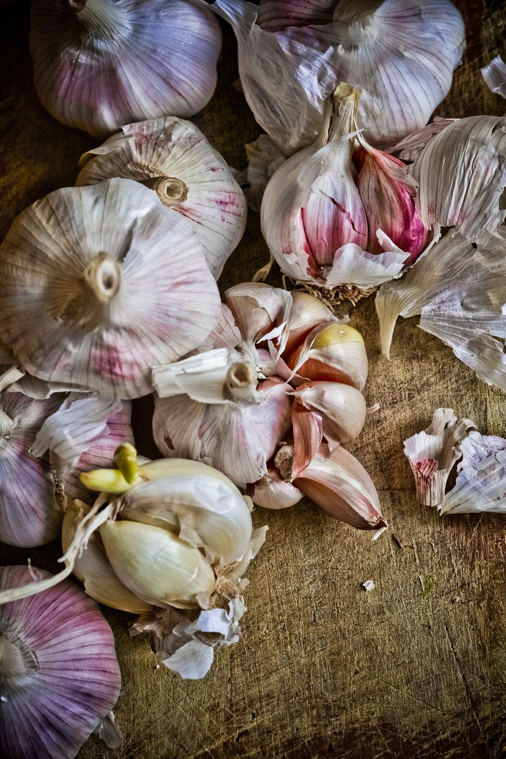 Has My Seed Garlic Gone Bad?